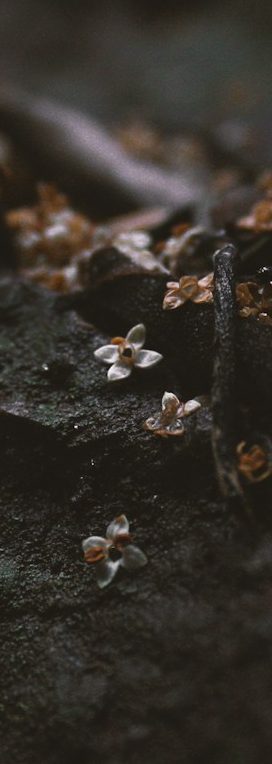 In Dir muss das brennen, was Du in anderen enzünden willst